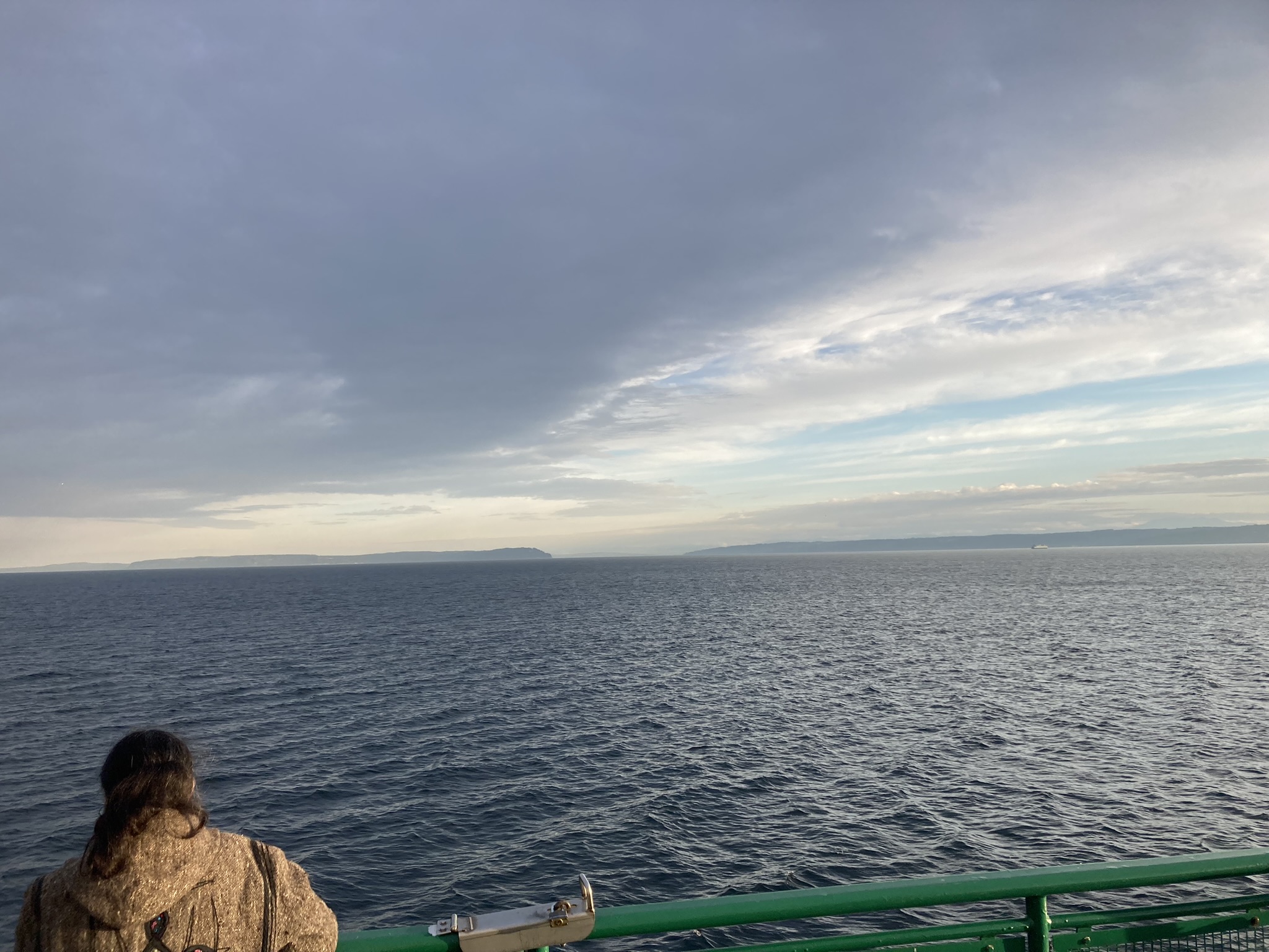 A photo I took from the ferry while trying to capture a pod of Orca whales.