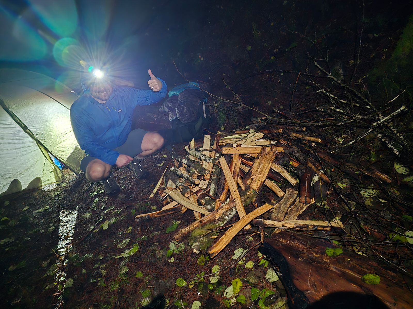 Some firewood gathered for the night.