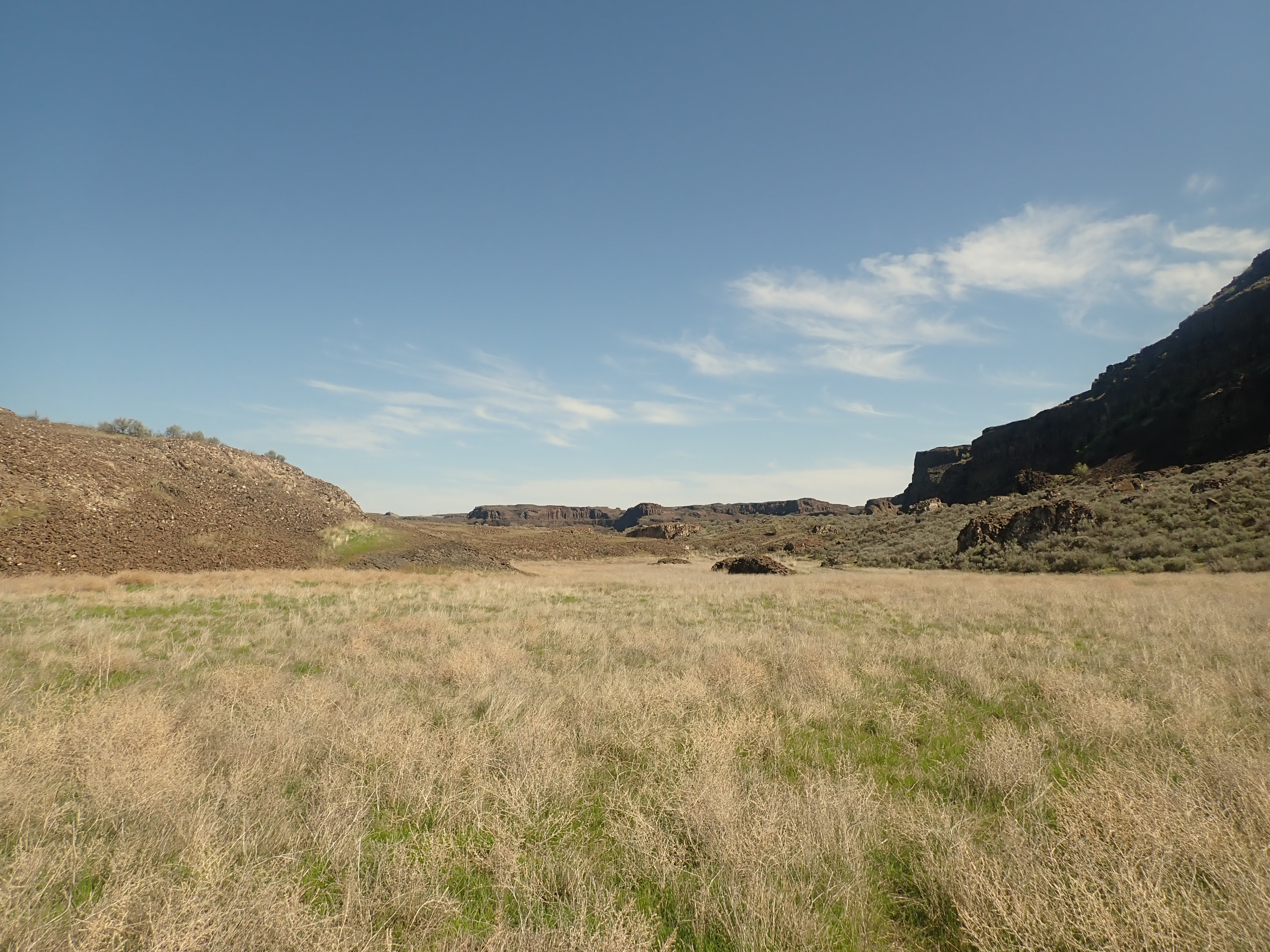 Hardy grass grows across some of the canyon.