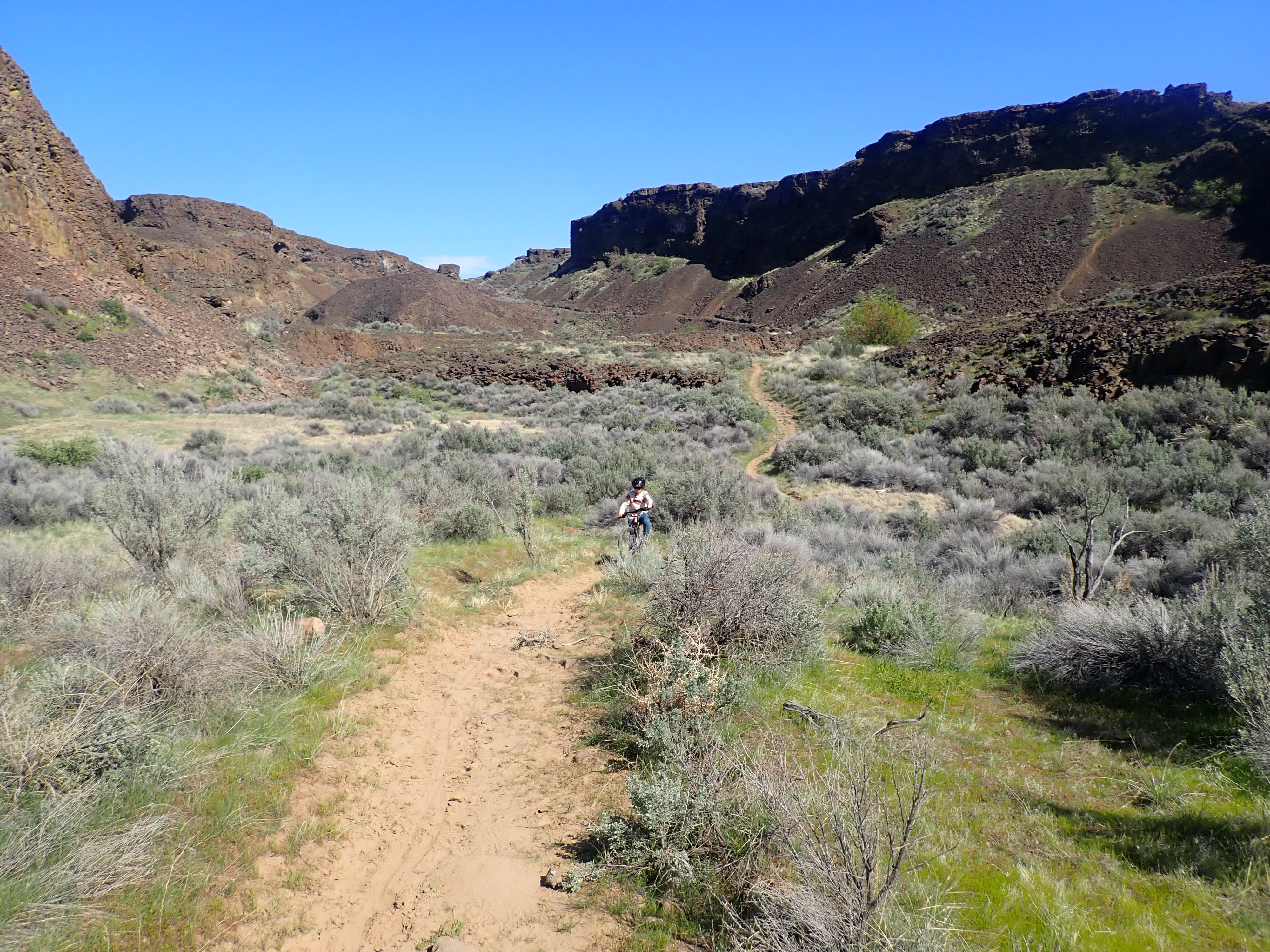 Mountain biking in the Ancient Lakes recreational area.