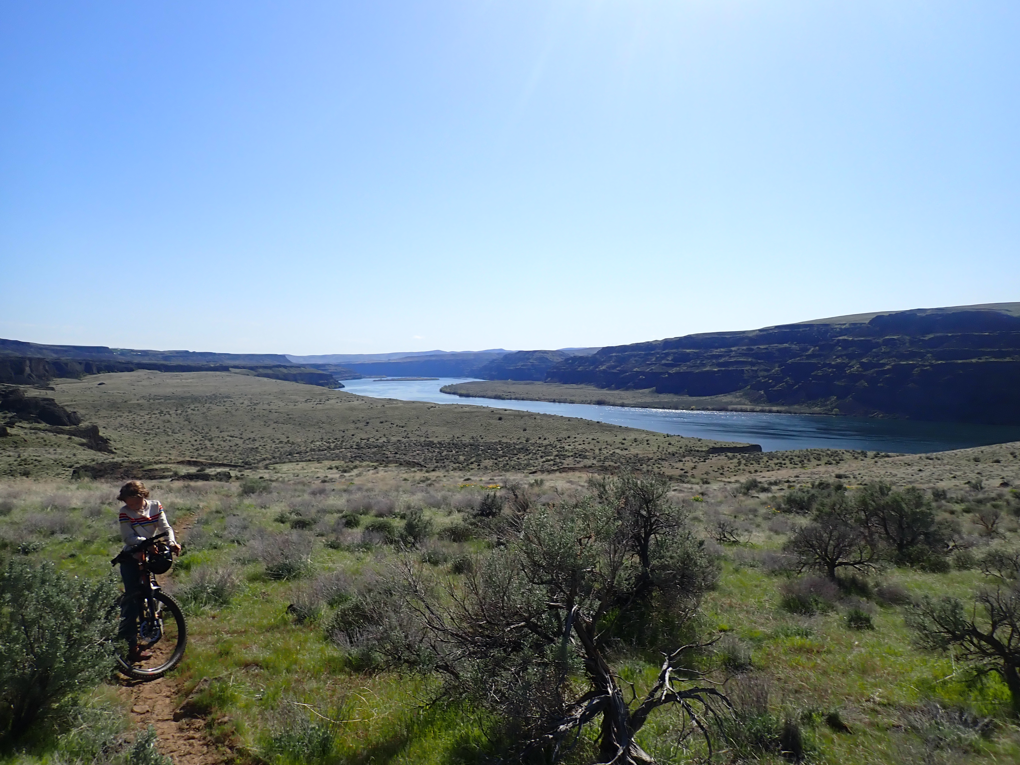 A photo of the Ancient Lakes area near Quincy, WA